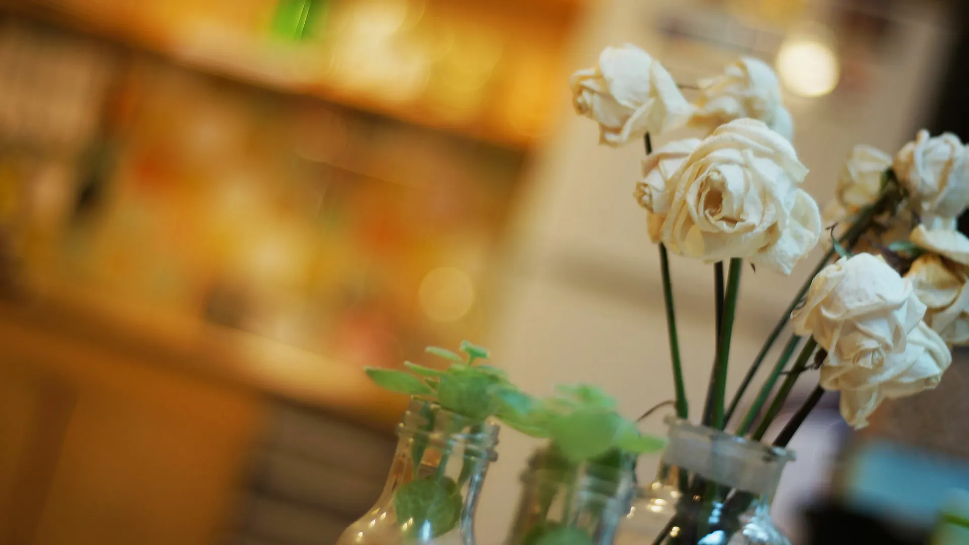 Sunnyhill Guesthouse Hongdae Seoul Guest house